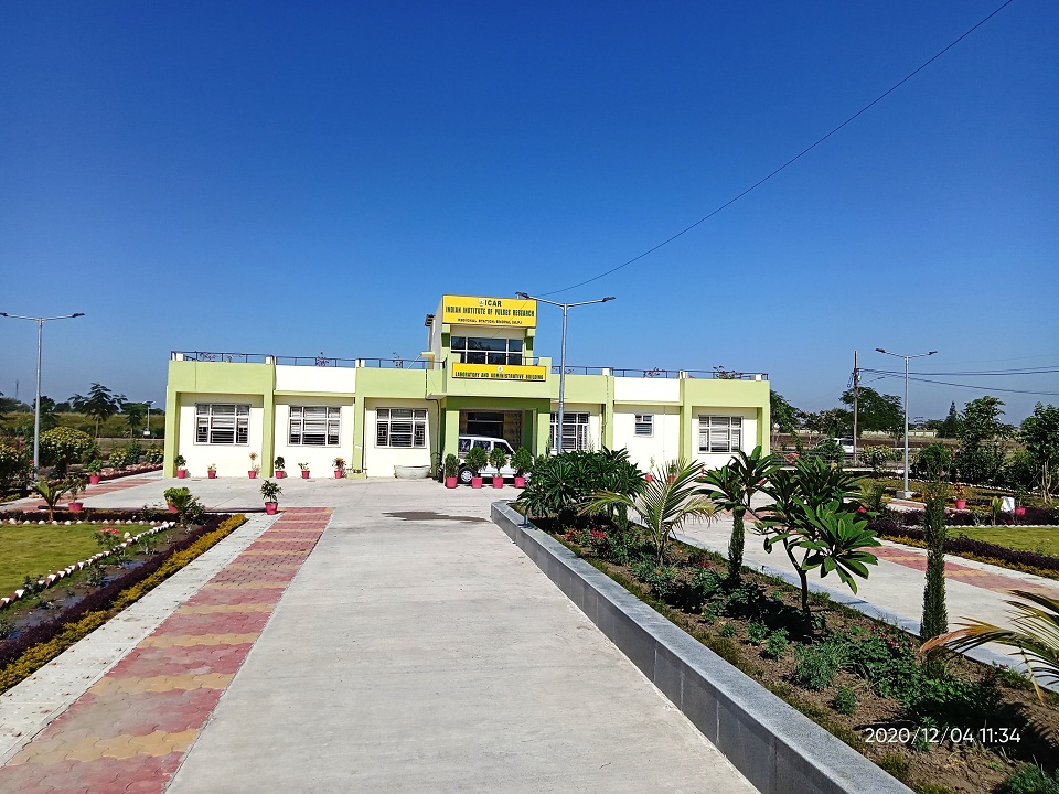 bikaner