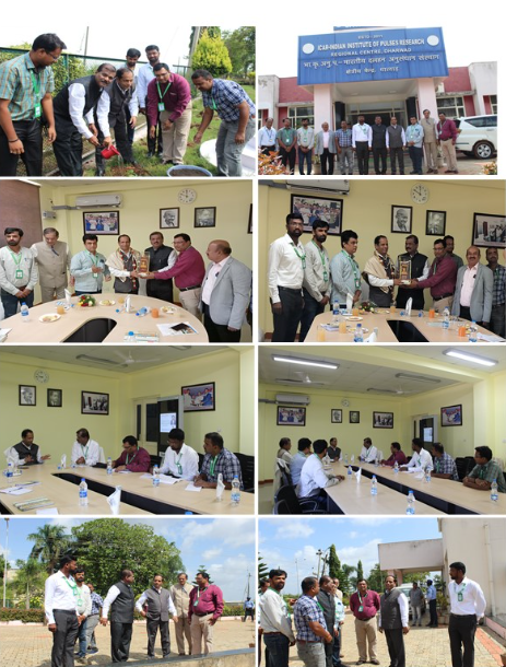 Indian Institute of Pulses Research