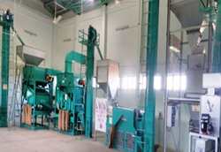 Seed processing plant