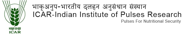 Indian Institute of Pulses Research