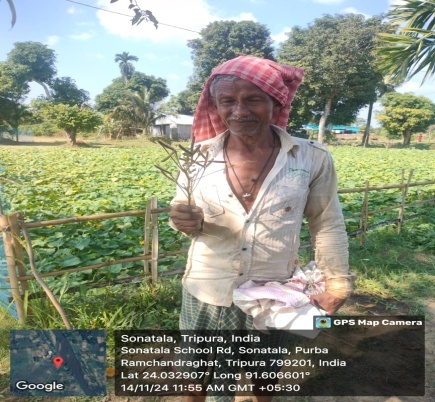 Mr Kshitish Das field