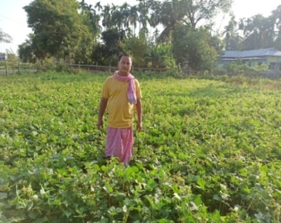Mr Kunjababu Sinha field