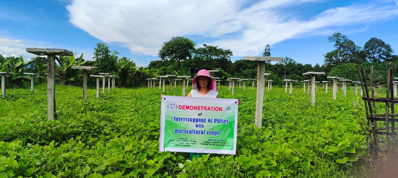 Mrs E Tasing farm